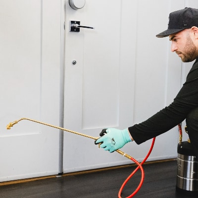 Rodent Control